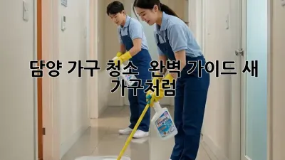 담양 가구 청소 ✨ 완벽 가이드: 새 가구처럼! 🏡