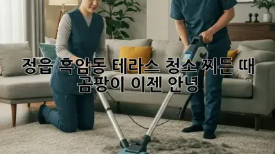 정읍 흑암동 테라스 청소: 찌든 때, 곰팡이 이젠 안녕!